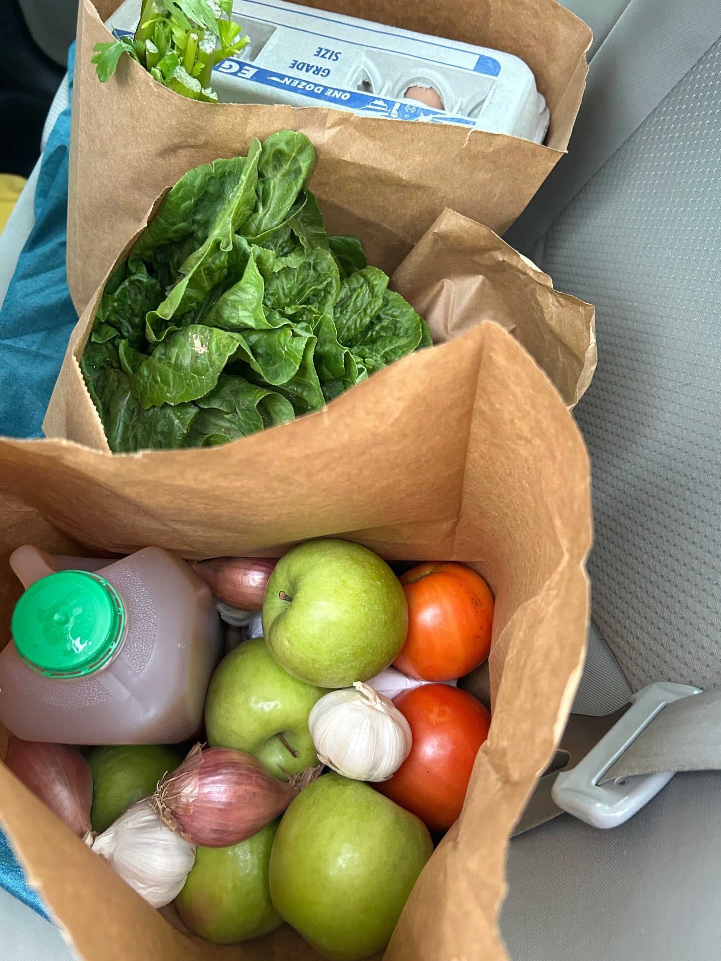 Weekly CSA-Genes Greens