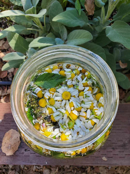 1/2 Gallon Herbal Tea Blend