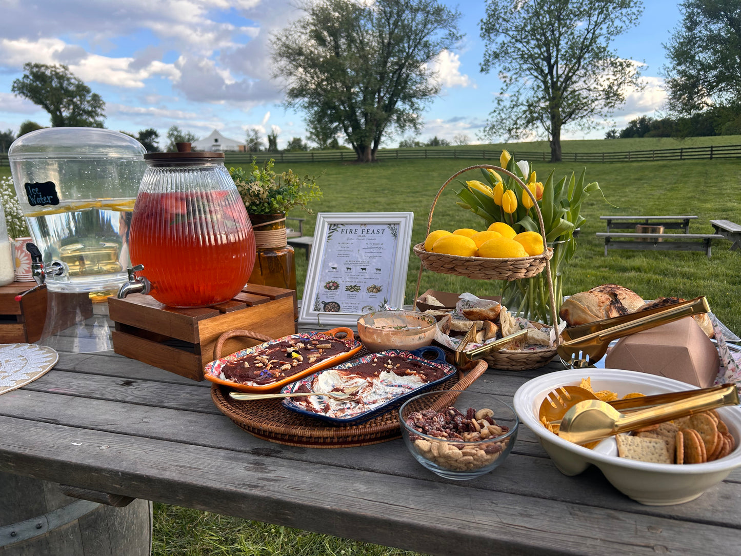 Fire Feast •A You Are Nourished Experience at Hidden Waters Farm